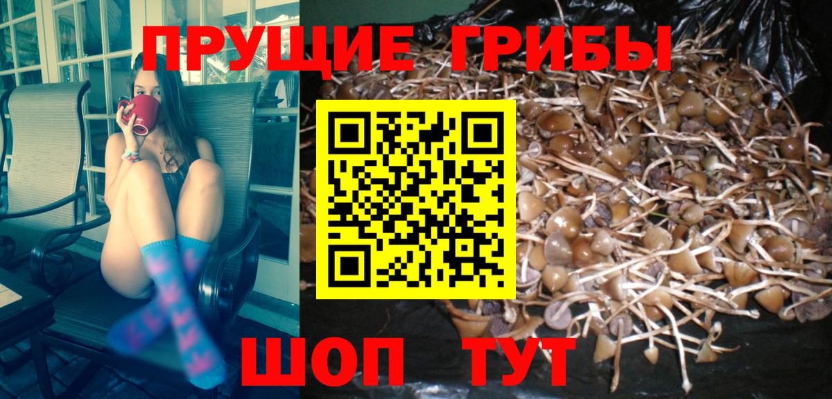 Псилоцибиновые грибы мухоморы Гурьевск