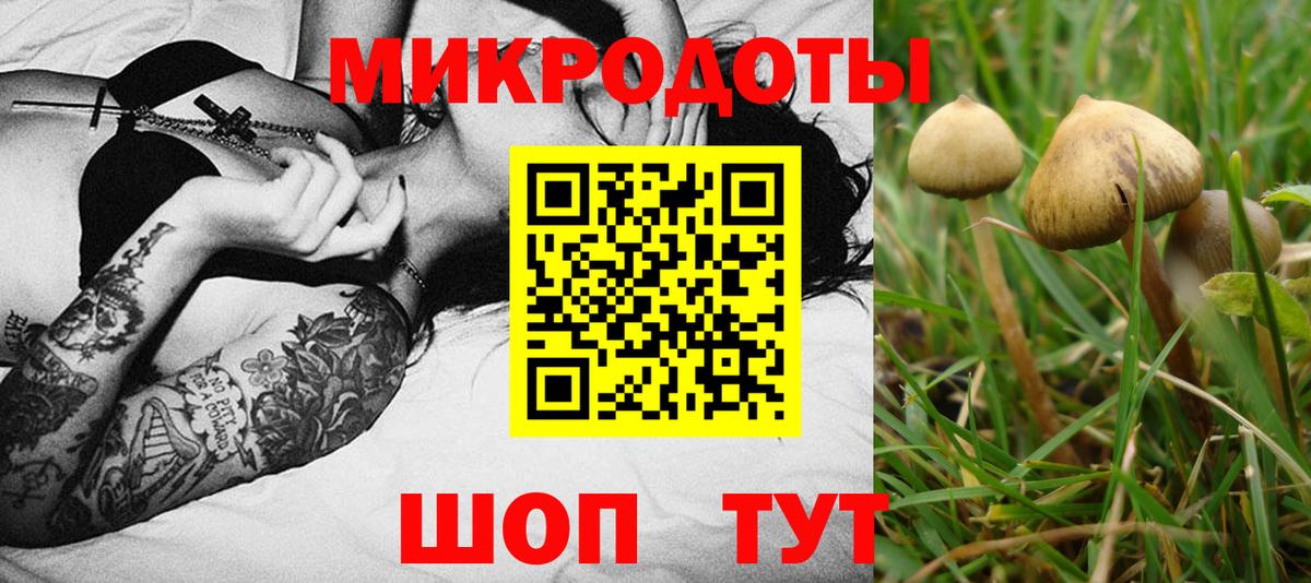 где можно купить наркотик  Вход с VPN  Гурьевск  Галлюциногенные грибы MAGIC MUSHROOMS 
